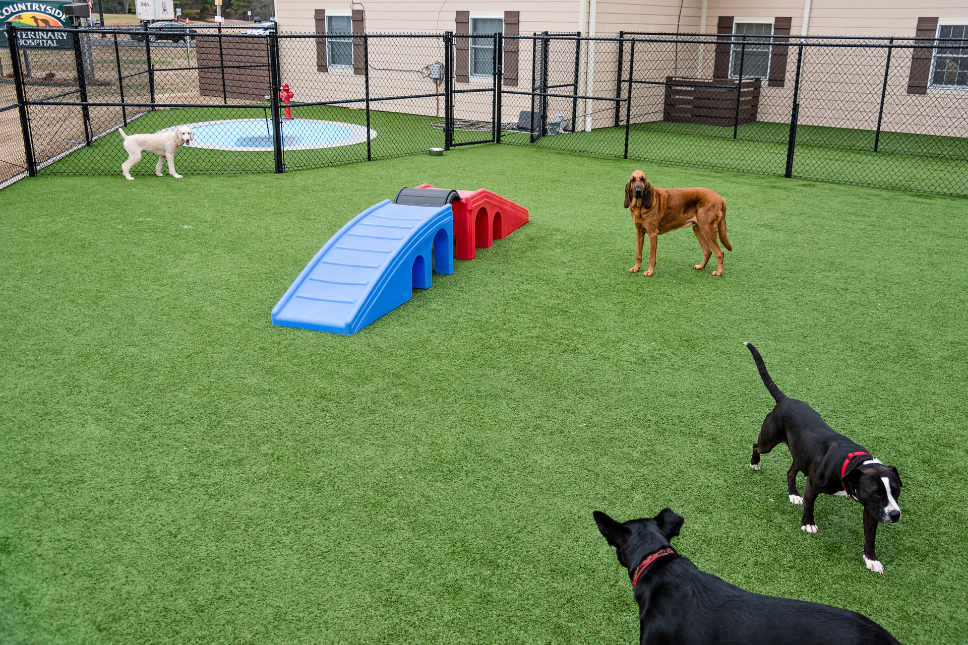 The Lodge Vet In Toney Countryside Veterinary Hospital