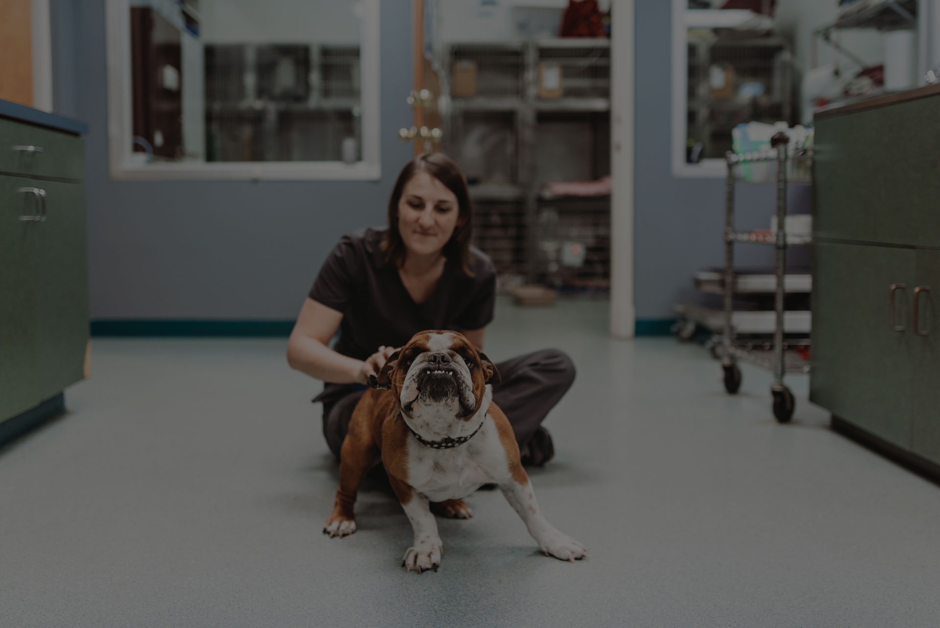 Technician playing with the dog