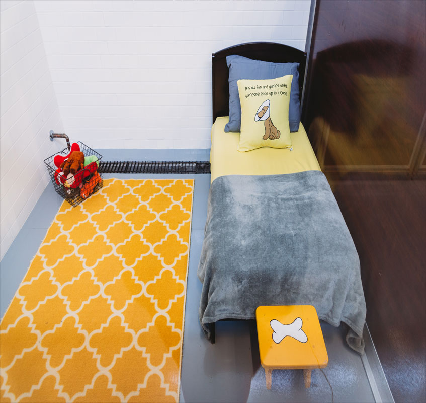 Small dog room wtih bed and toys