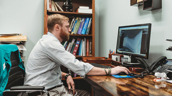 Vet checking reports on computer