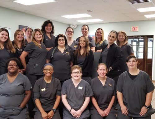 Meet Our Team: Our Veterinary Technicians