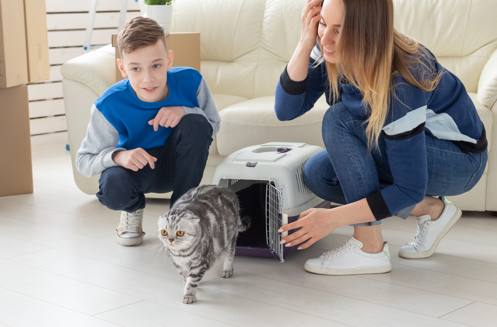 7 Tips to Smoothly Introduce a New Pet to Your Household - Vet In Toney |  Countryside Veterinary Hospital