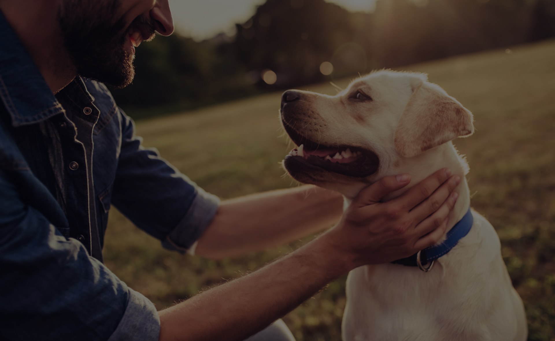 Animal Care Attendant Vet In Toney Countryside Veterinary Hospital